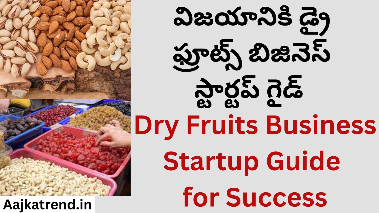 Dry Fruits Business Startup Guide for Success