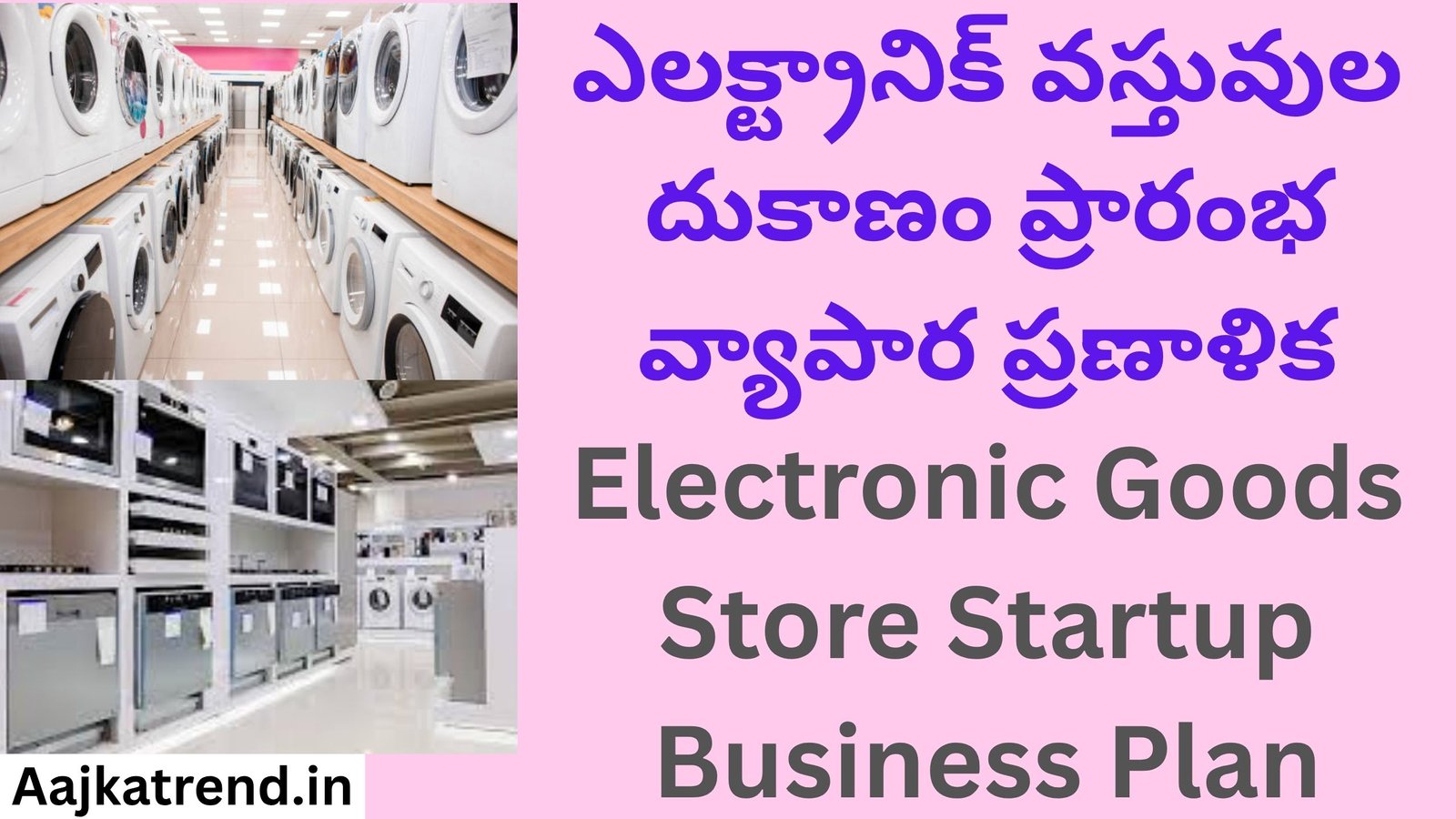 Electronic Goods Store Startup Business Plan