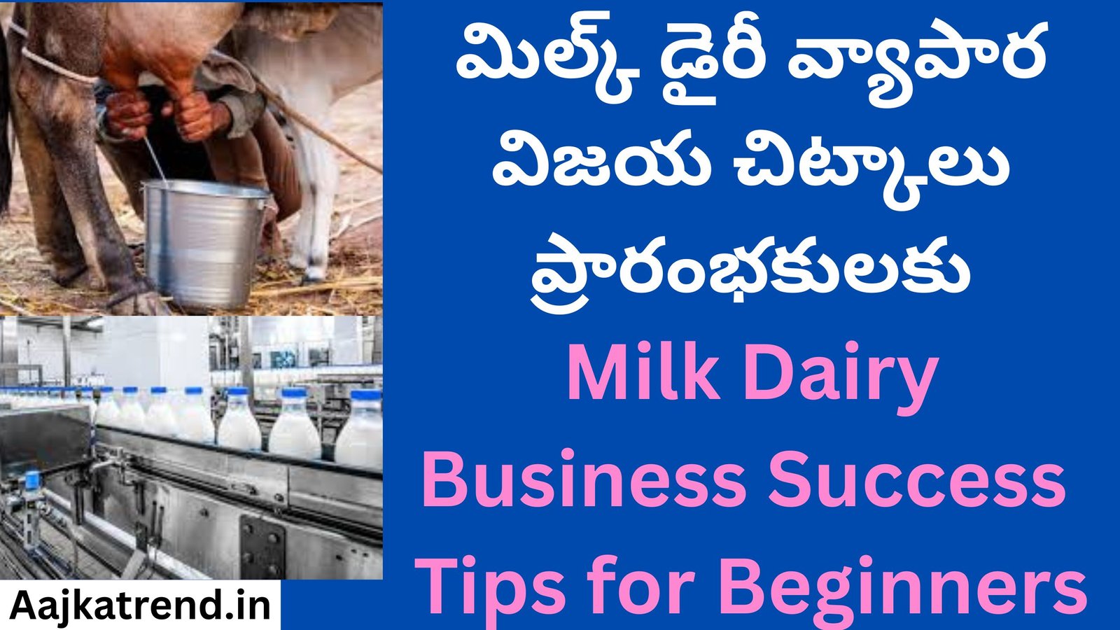 Milk Dairy Business Success Tips for Beginners