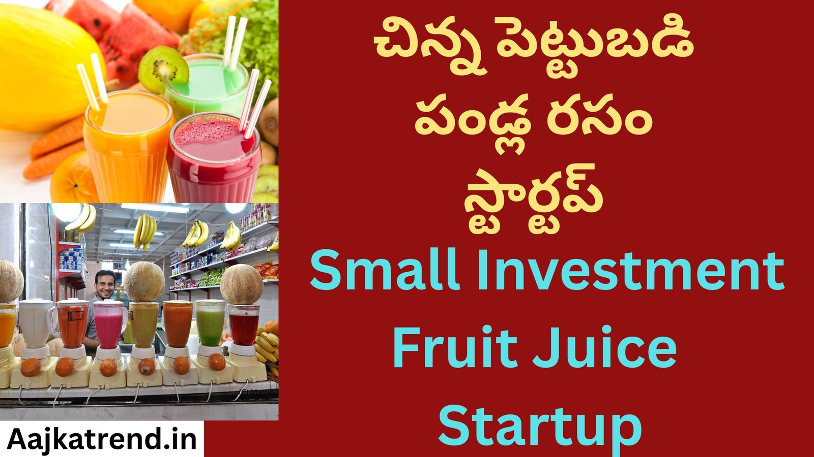 Small Investment Fruit Juice Startup